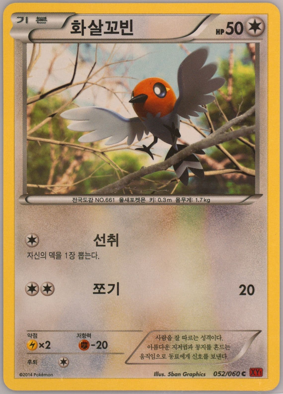 Fletchling (052) 2014 Pokemon Korean XY Collection Y