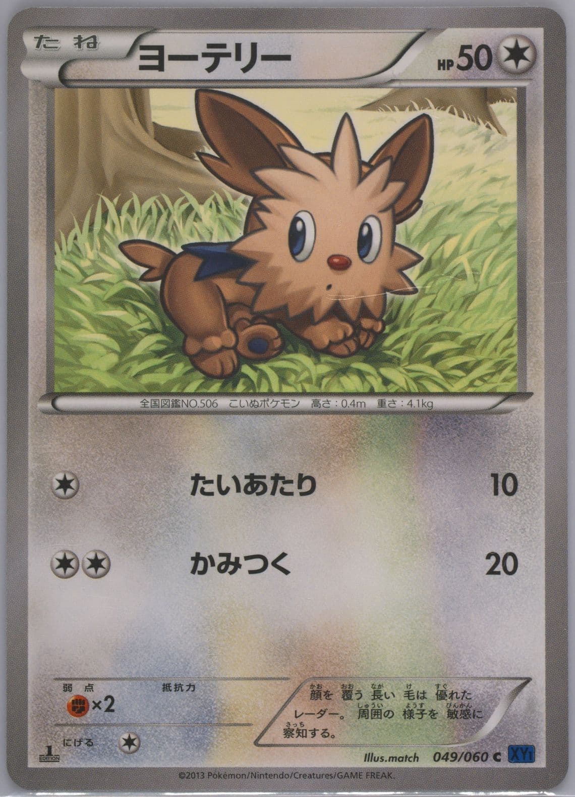 Lillipup X-1st Edition (049) 2013 Pokemon Japanese XY