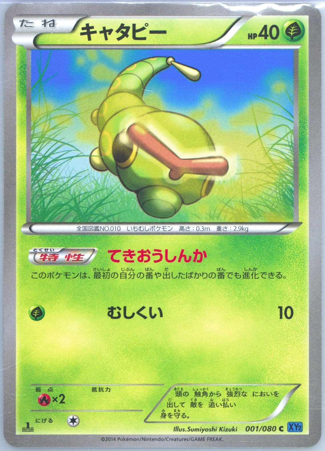 Caterpie 1st Edition (001) 2014 Pokemon Japanese XY Wild Blaze