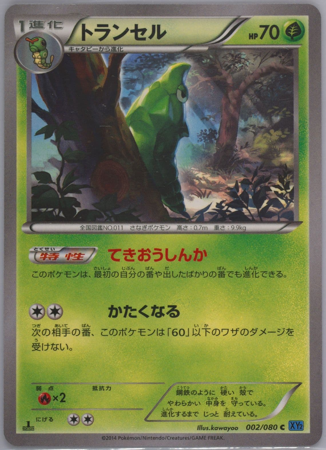 Metapod 1st Edition (002) 2014 Pokemon Japanese XY Wild Blaze