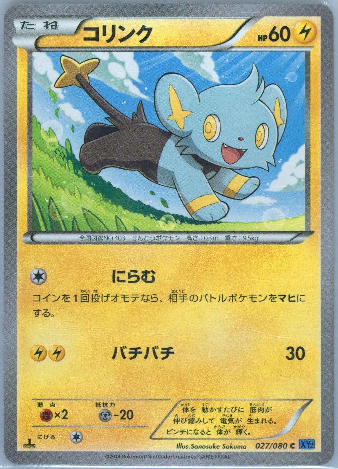 Shinx 1st Edition (027) 2014 Pokemon Japanese XY Wild Blaze