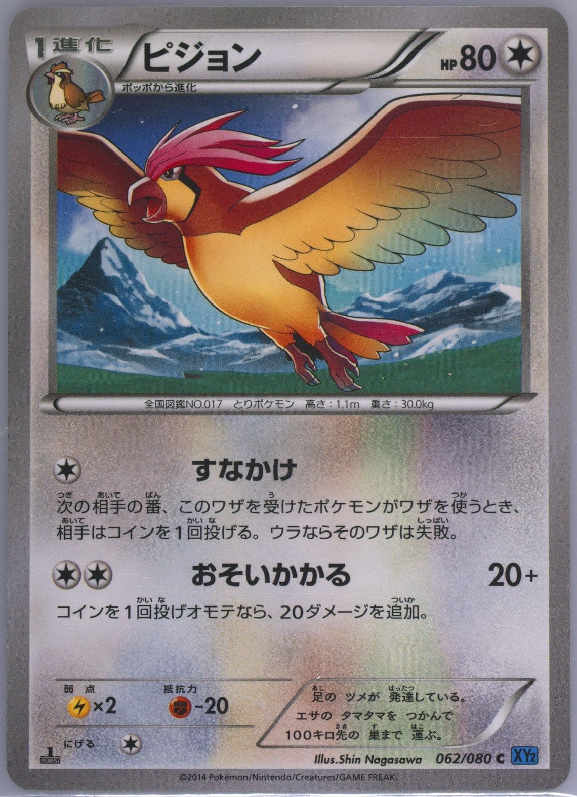 Pidgeotto 1st Edition (062) 2014 Pokemon Japanese XY Wild Blaze