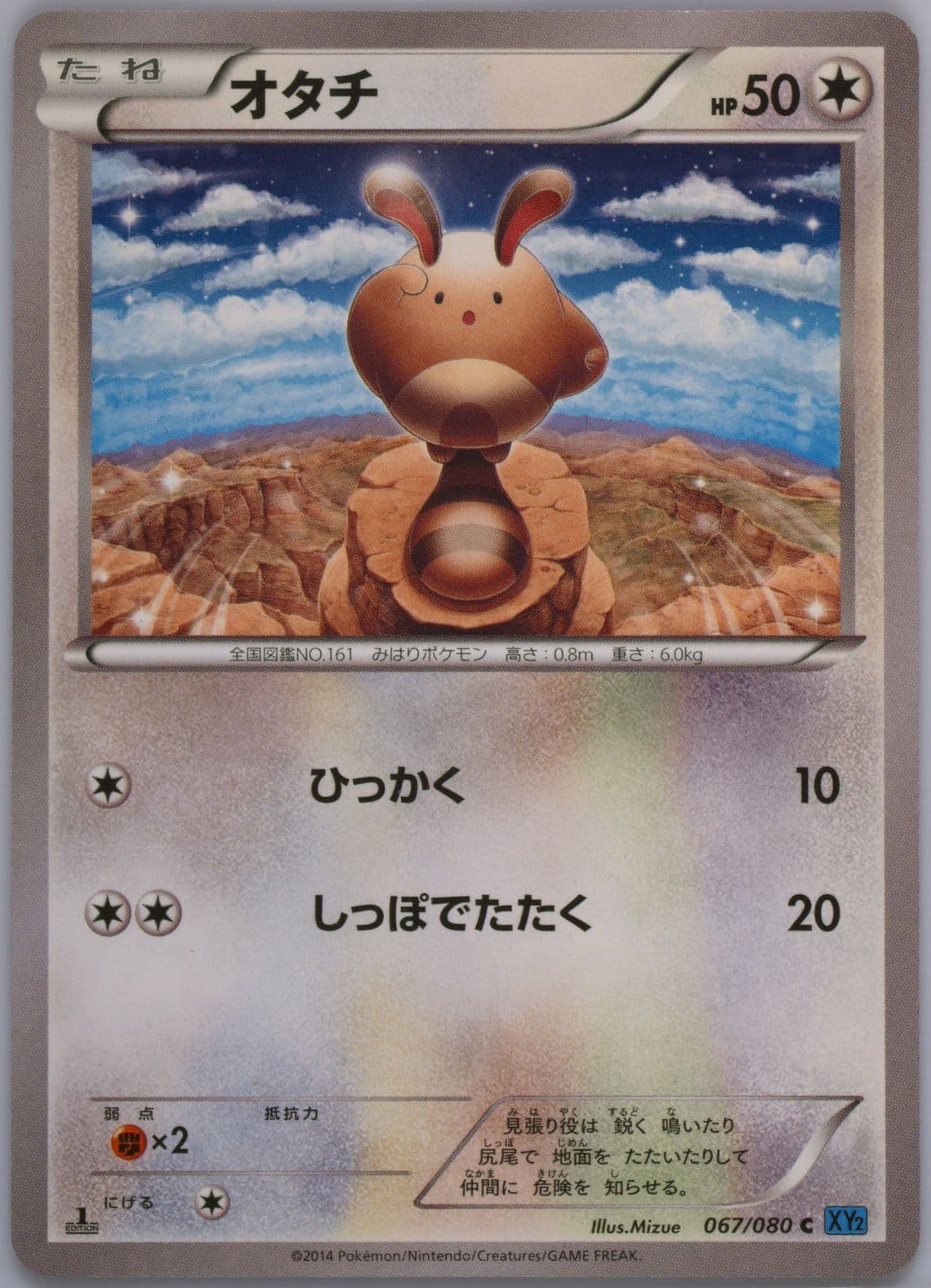 Sentret 1st Edition (067) 2014 Pokemon Japanese XY Wild Blaze