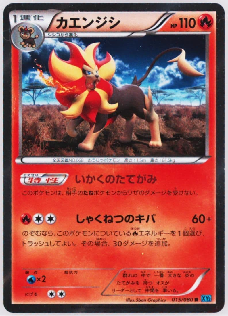 Pyroar-Holo (015) 2014 Pokemon Japanese XY Wild Blaze