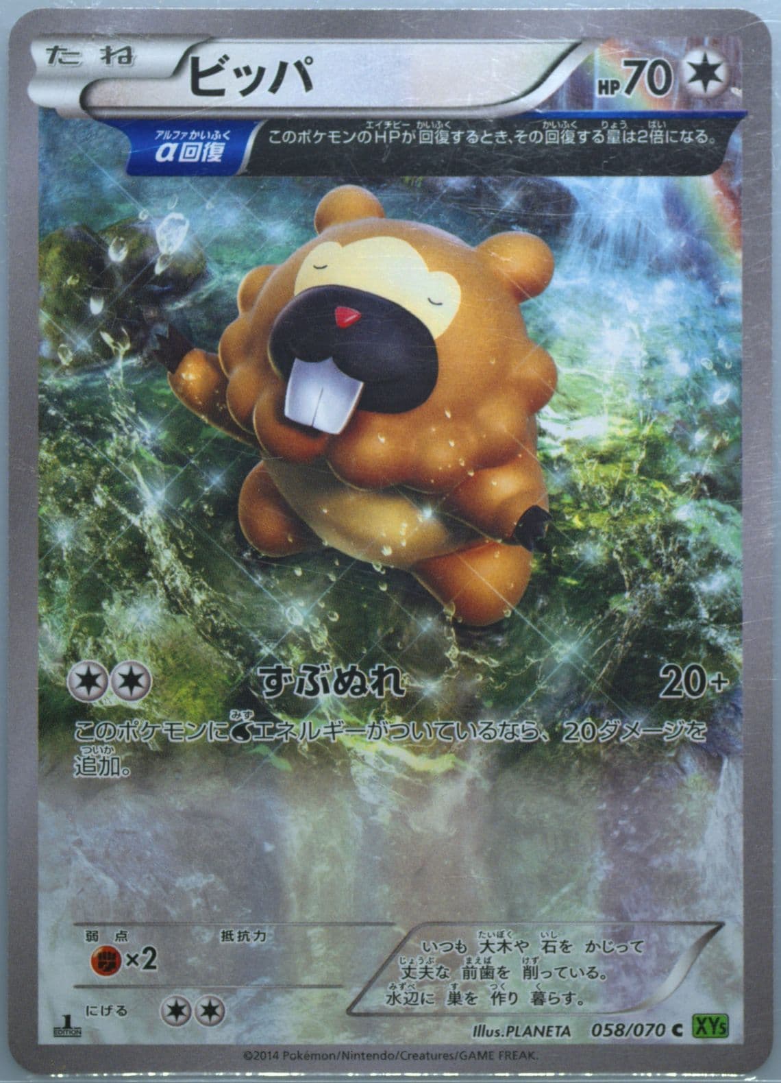 Bidoof 1st Edition (058) 2014 Pokemon Japanese XY Tidal Storm