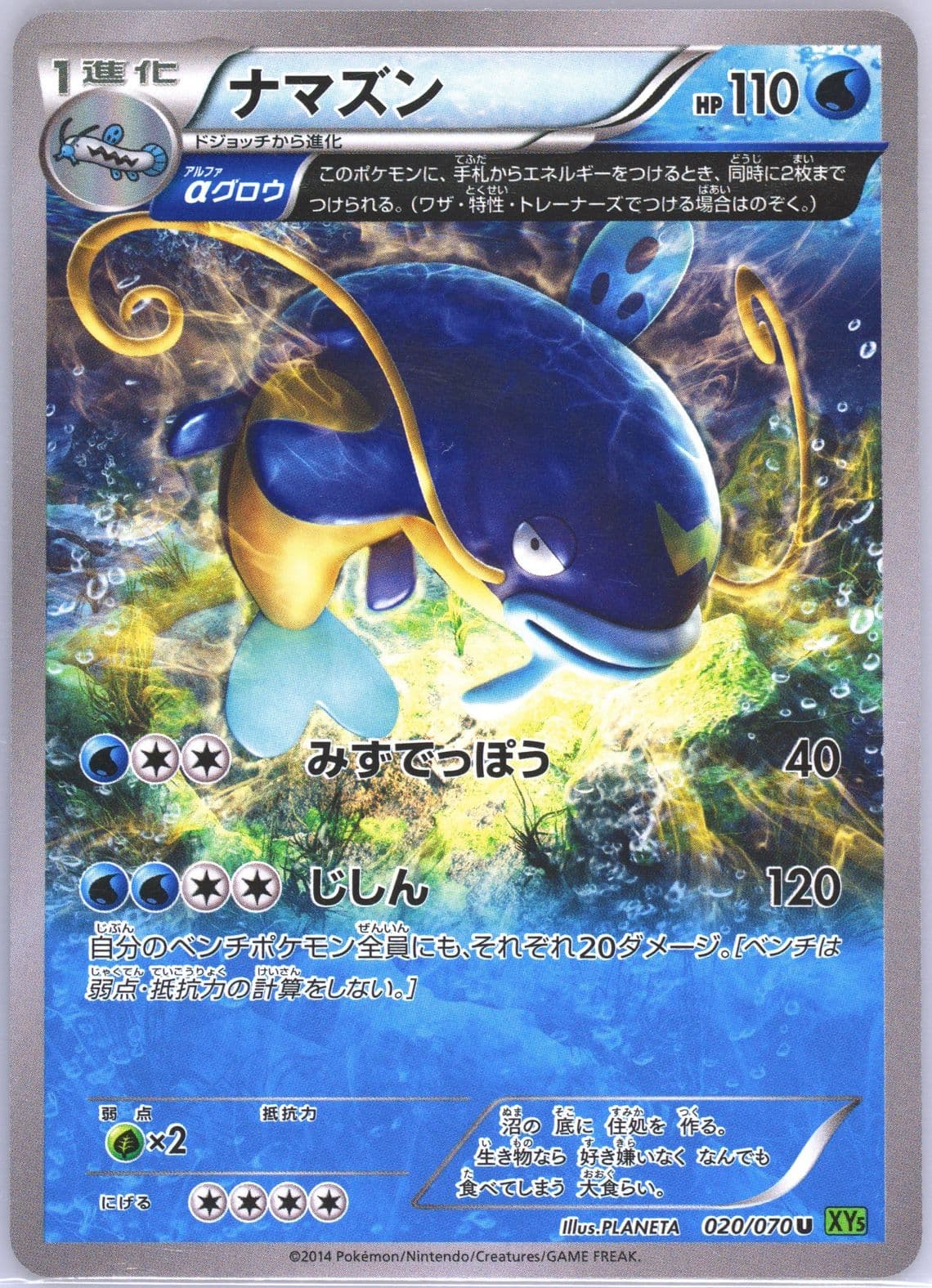 Whiscash (020) 2014 Pokemon Japanese XY Tidal Storm