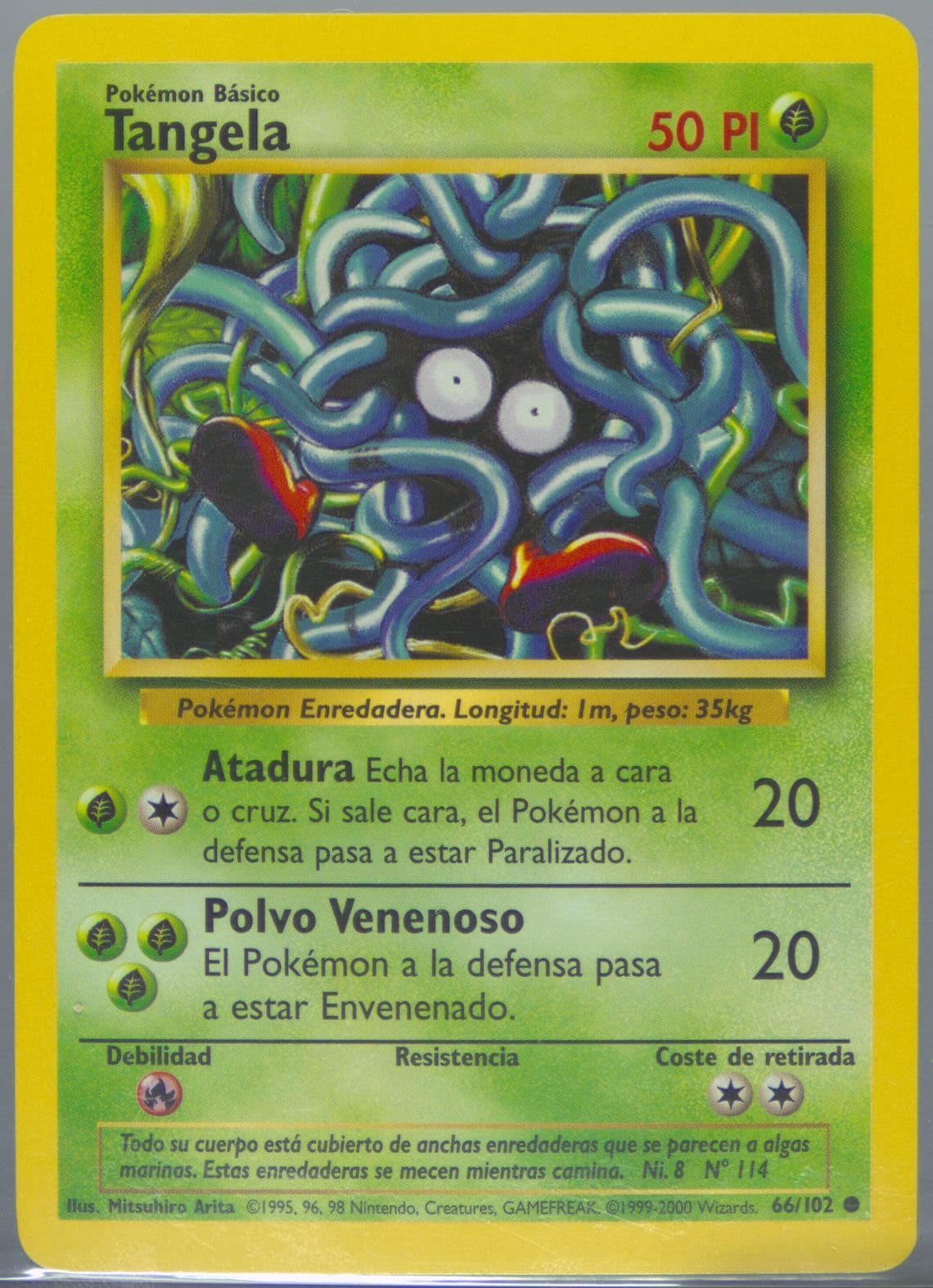 Tangela (66) 1999 Pokemon Spanish