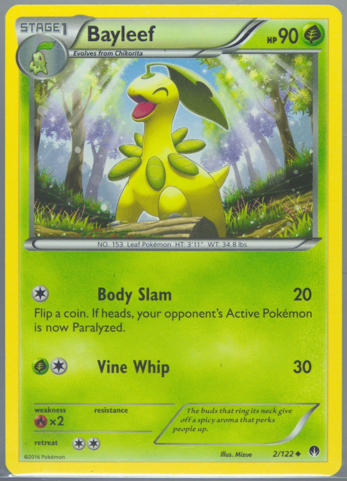 Bayleef (2) 2016 Pokemon XY Breakpoint