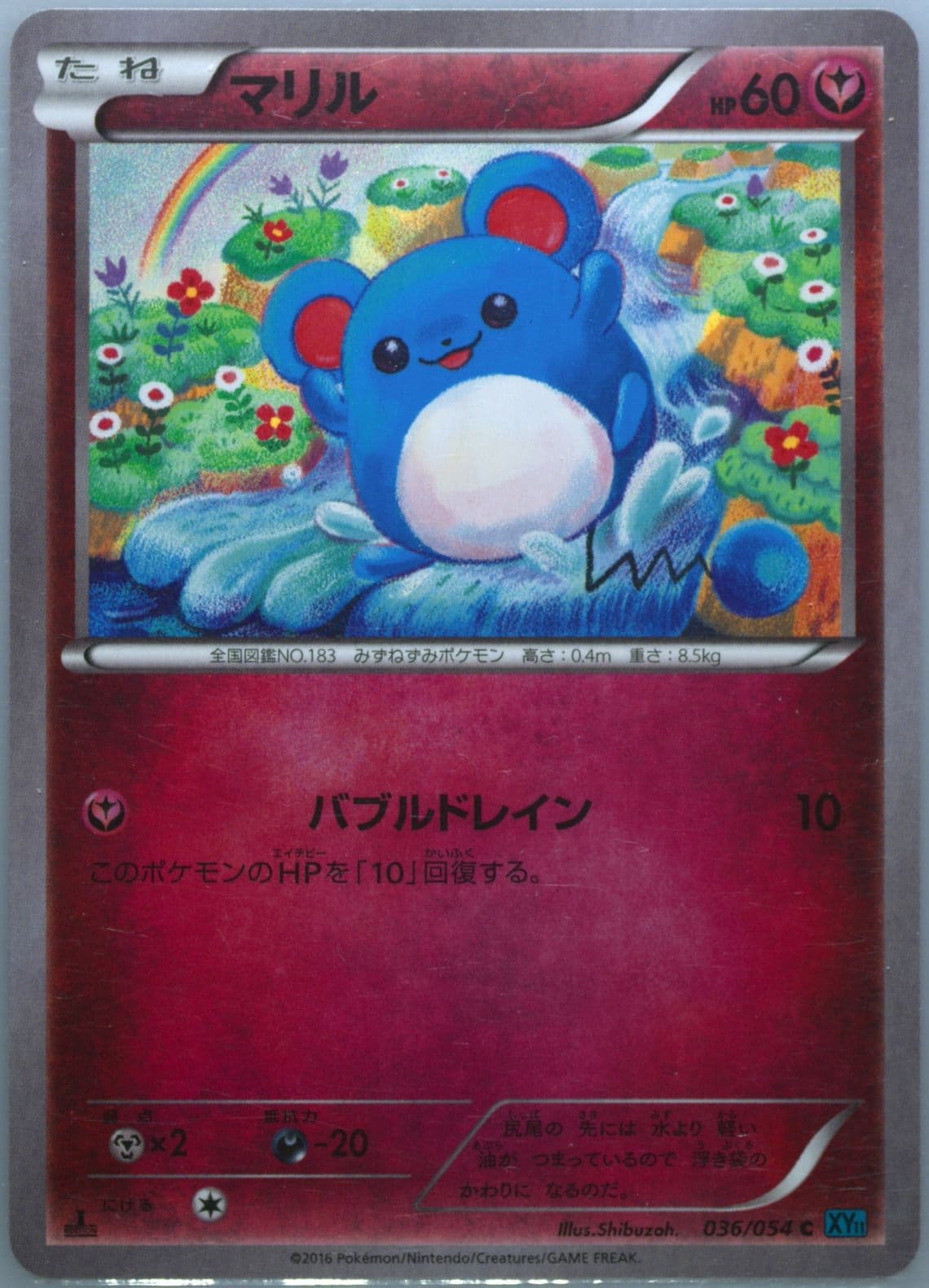 Marill 1st Edition (036) 2016 Pokemon Japanese XY Cruel Traitor