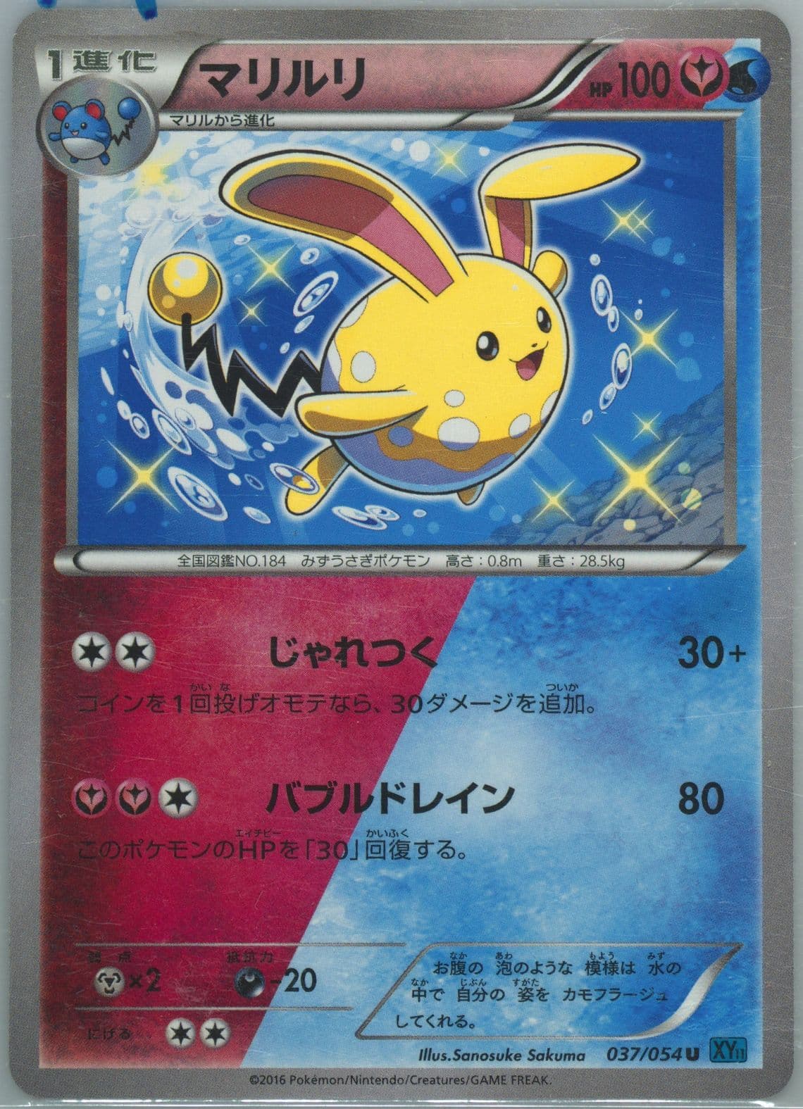 Azumarill (037) 2016 Pokemon Japanese XY Cruel Traitor