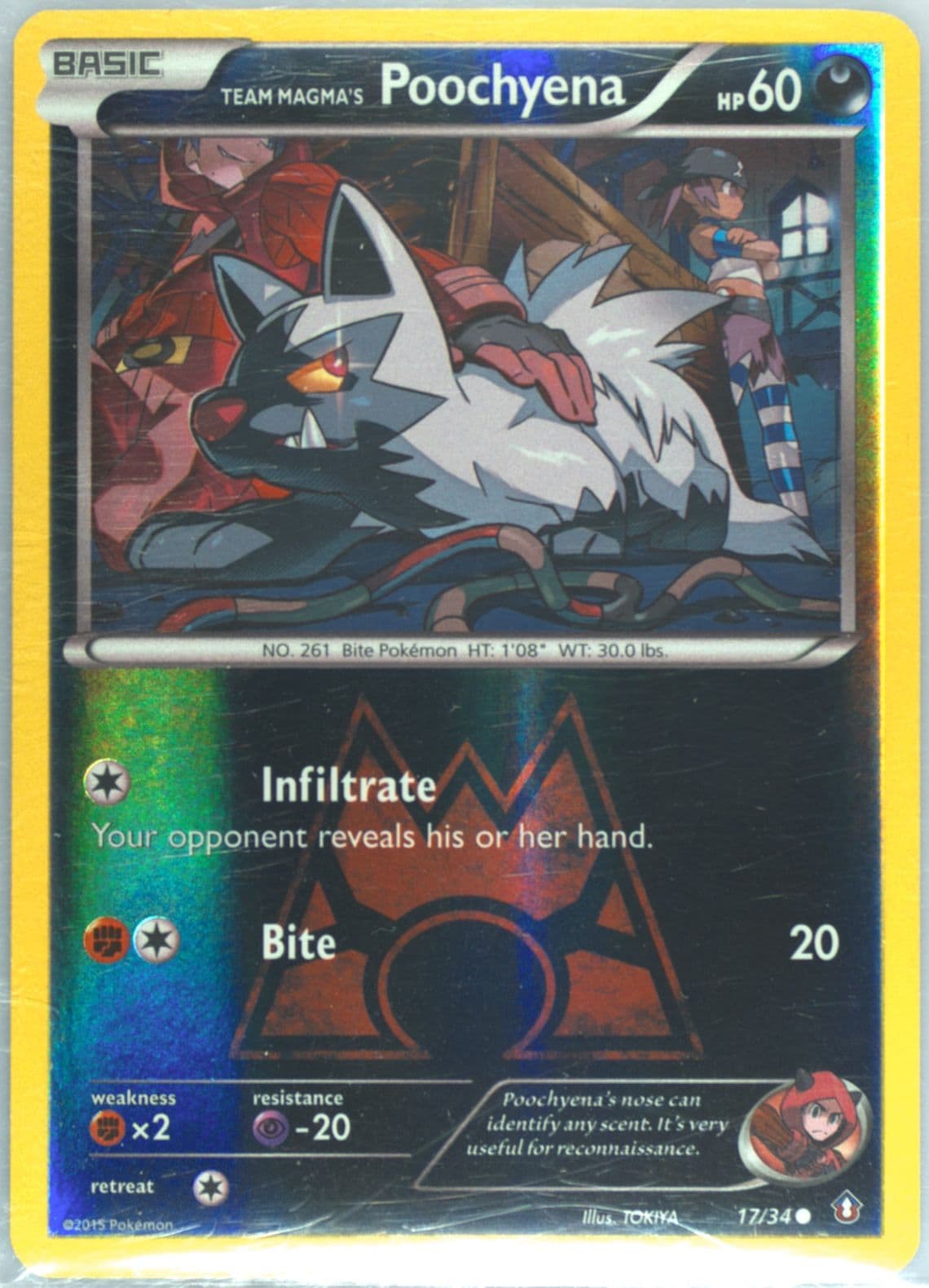 Team Magma's Poochyena-Reverse Foil (17) 2015 Pokemon XY Double Crisis