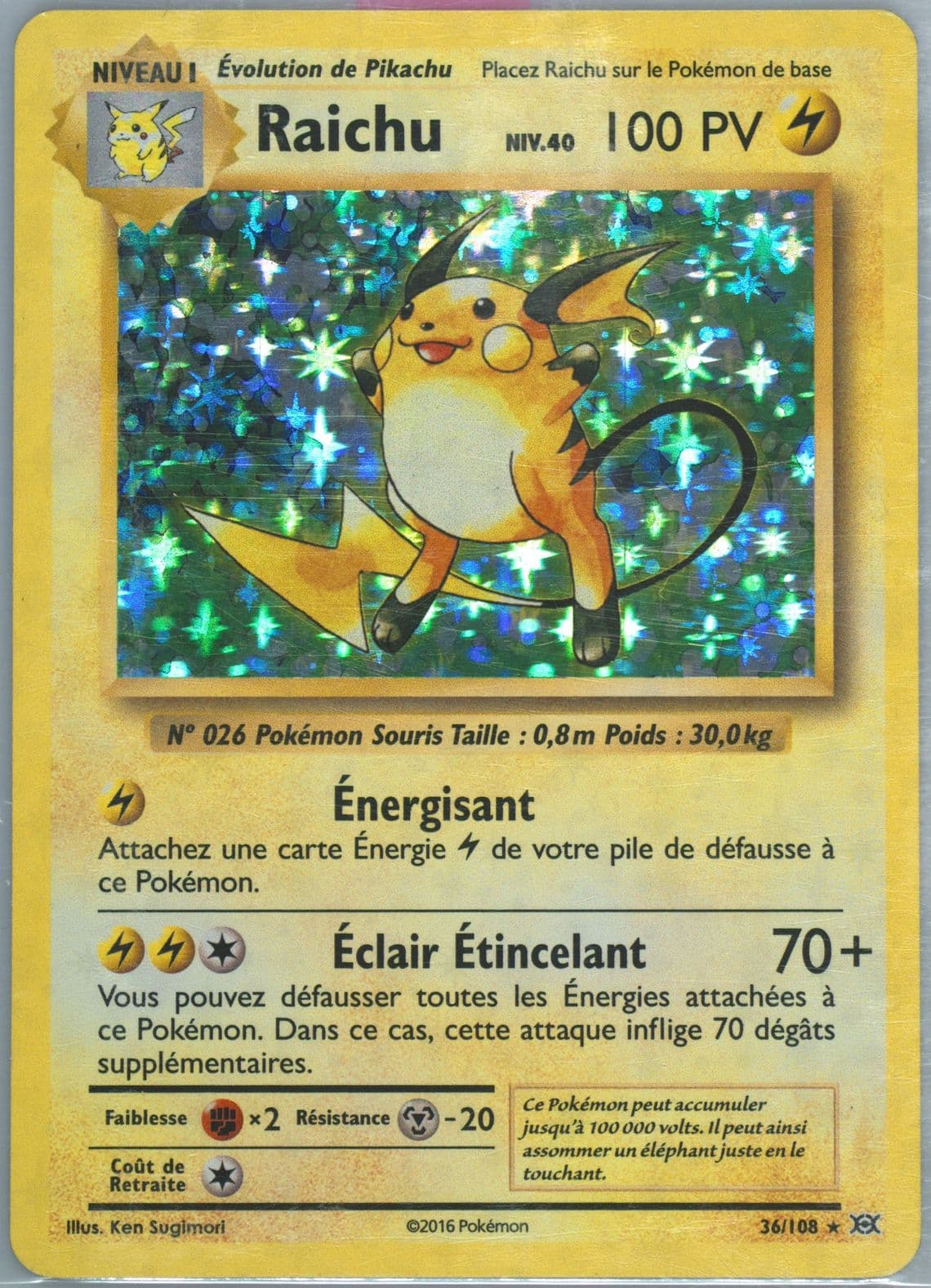 Raichu-Holo French (36) 2016 Pokemon XY Evolutions