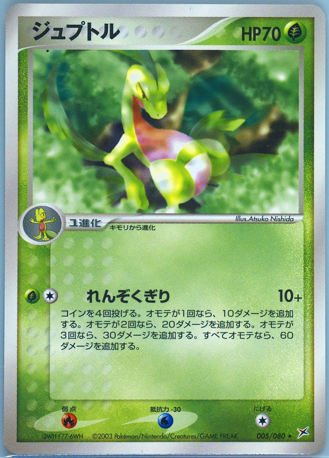Grovyle (005) 2003 Pokemon Japanese Magma VS Aqua