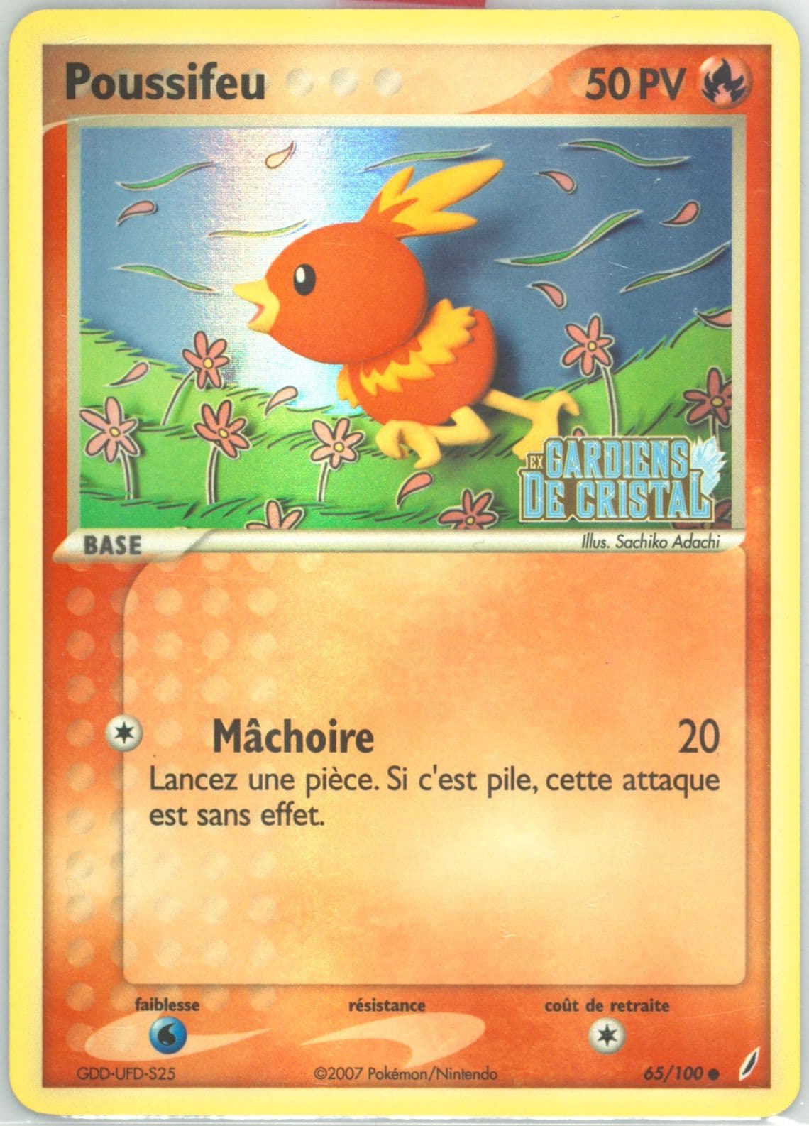 Poussifeu-Reverse Foil (65) 2007 Pokemon French EX Crystal Guardians