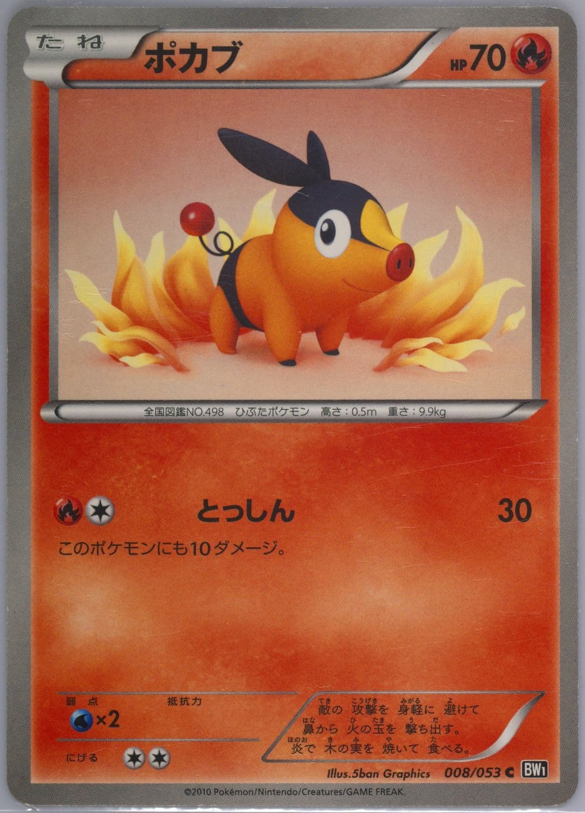 Tepig Black Collection (008) 2010 Pokemon Japanese Black & White