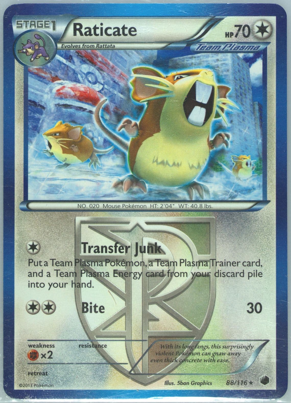 Raticate (88) 2013 Pokemon Black & White Plasma Freeze