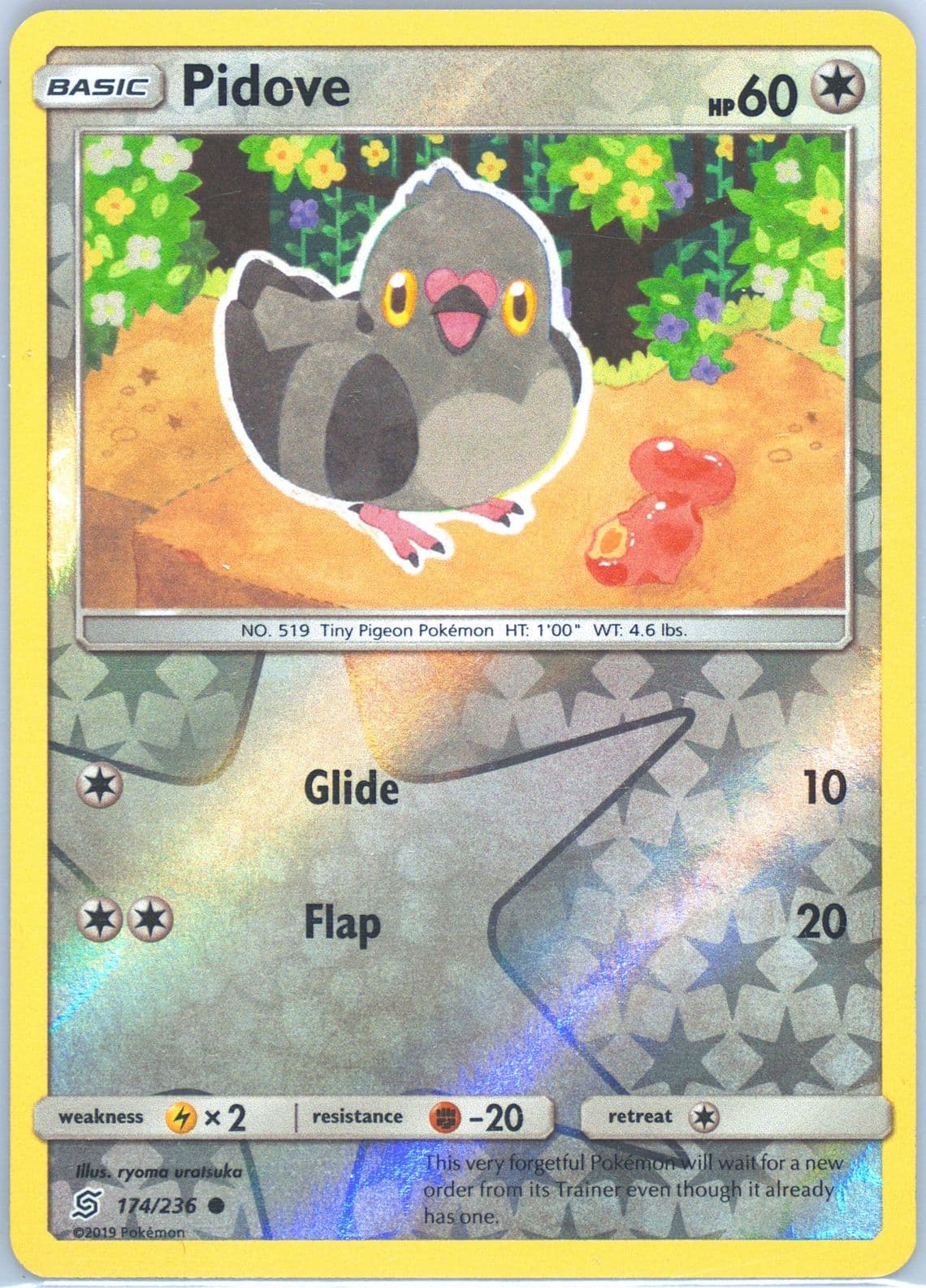 Pidove-Reverse Foil (174) 2019 Pokemon Sun & Moon Unified Minds
