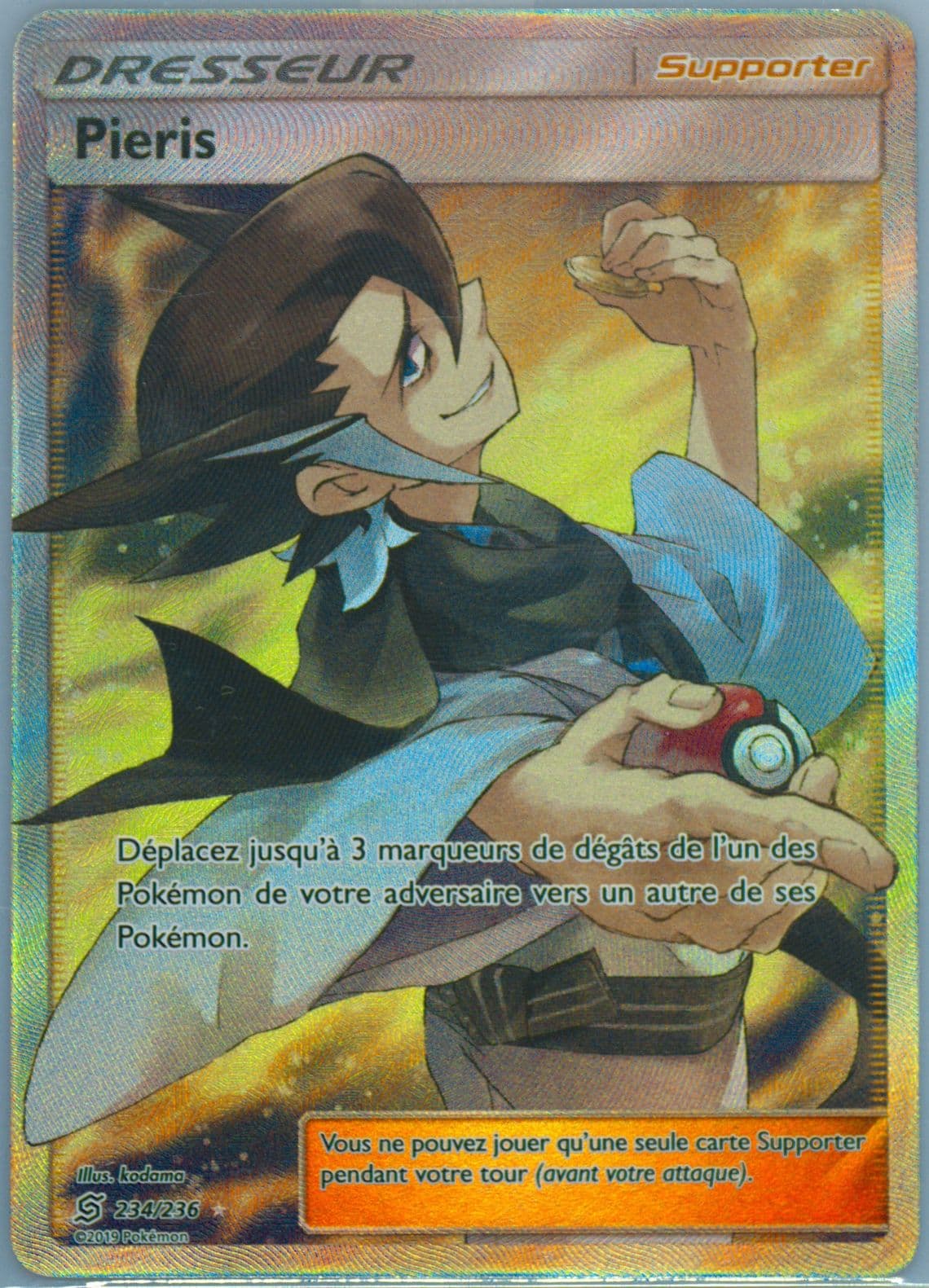 Full Art/Pieris French (234) 2019 Pokemon Sun & Moon Unified Minds