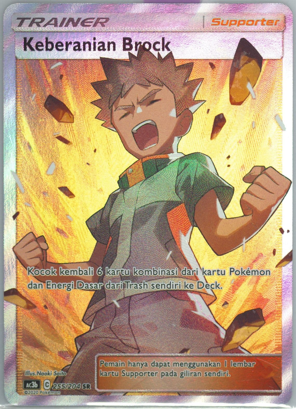 Full Art/Brock's Grit Set B (255) 2020 Pokemon Indonesian Sun & Moon Tag Team Collection