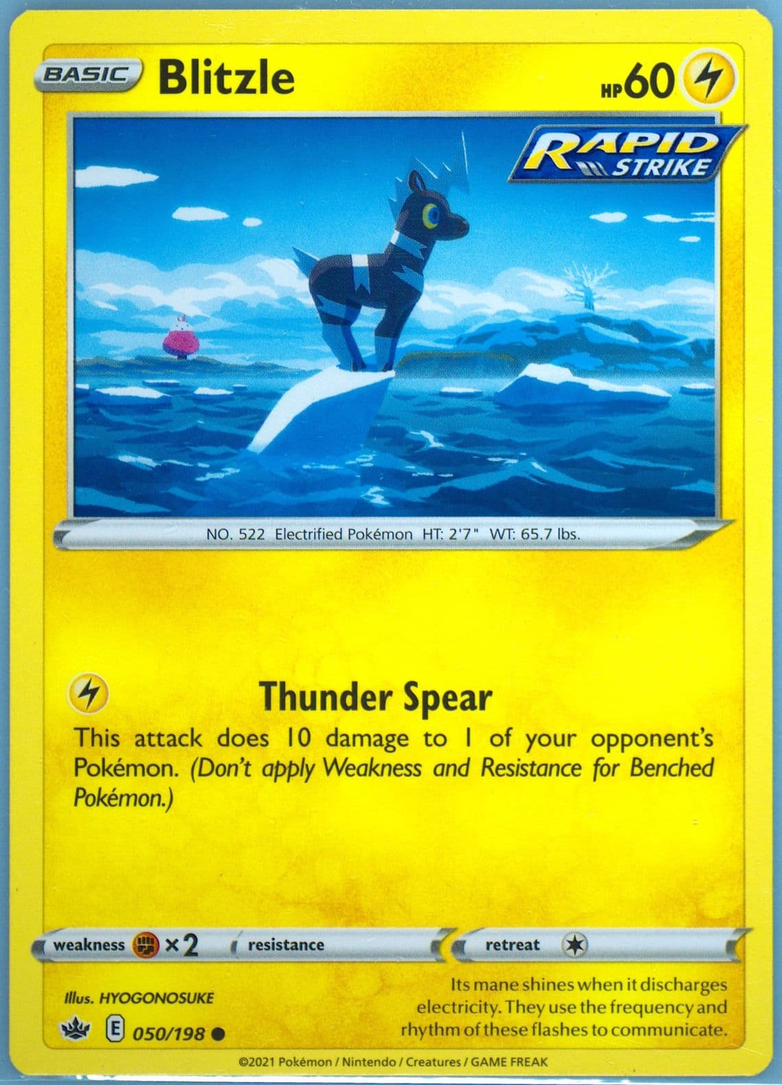 Blitzle (050) 2021 Pokemon Sword & Shield Chilling Reign