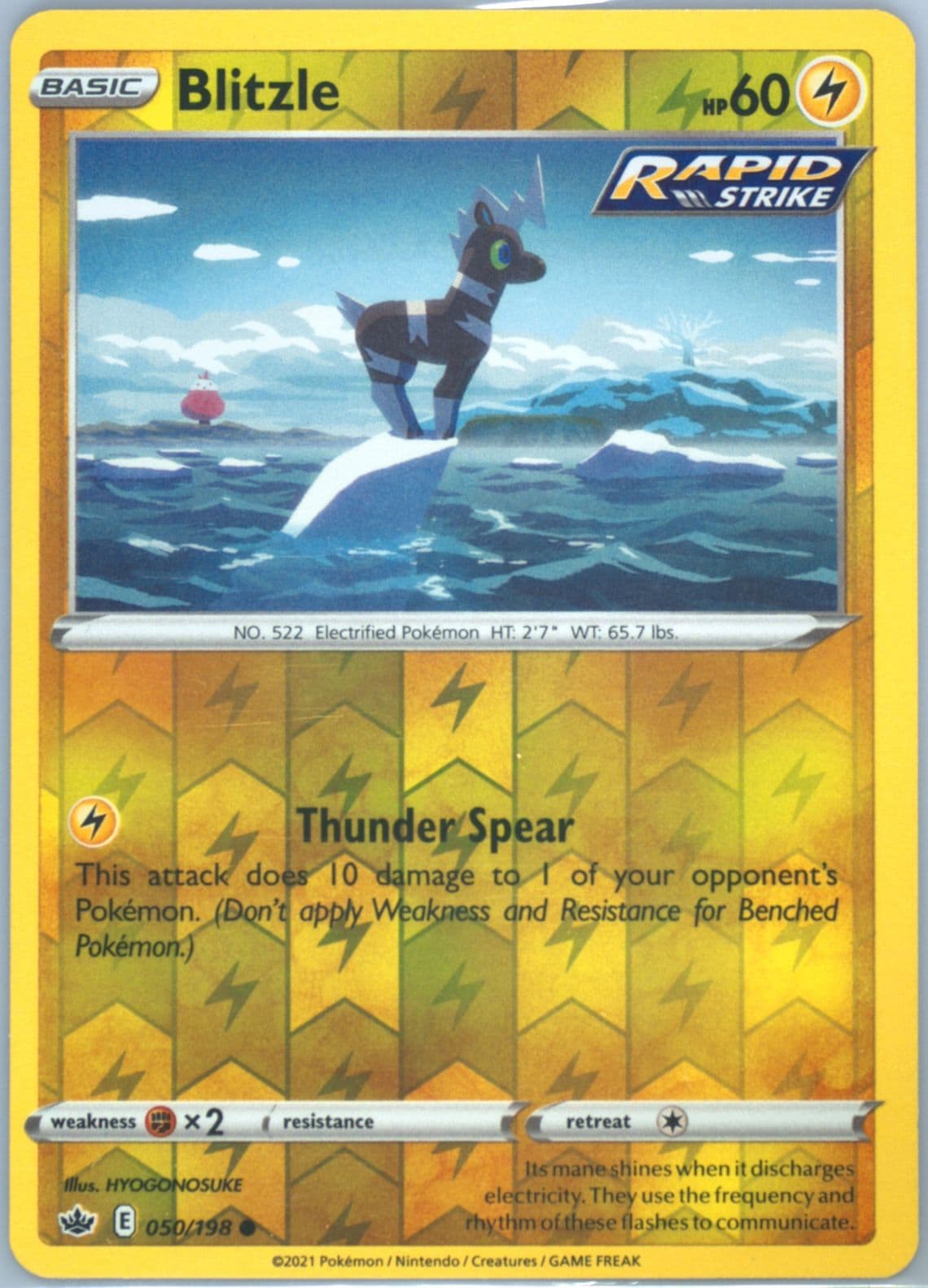 Blitzle-Reverse Foil (050) 2021 Pokemon Sword & Shield Chilling Reign