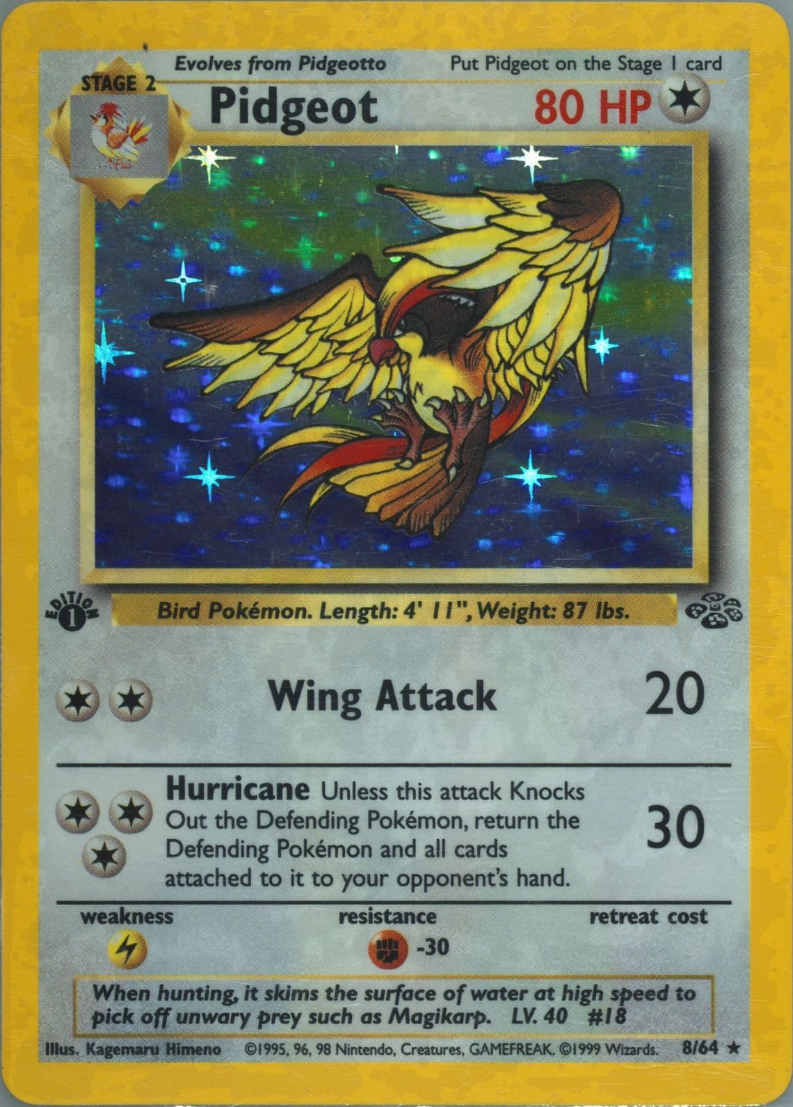 Pidgeot-Holo 1st Edition (8) 1999 Pokemon Jungle