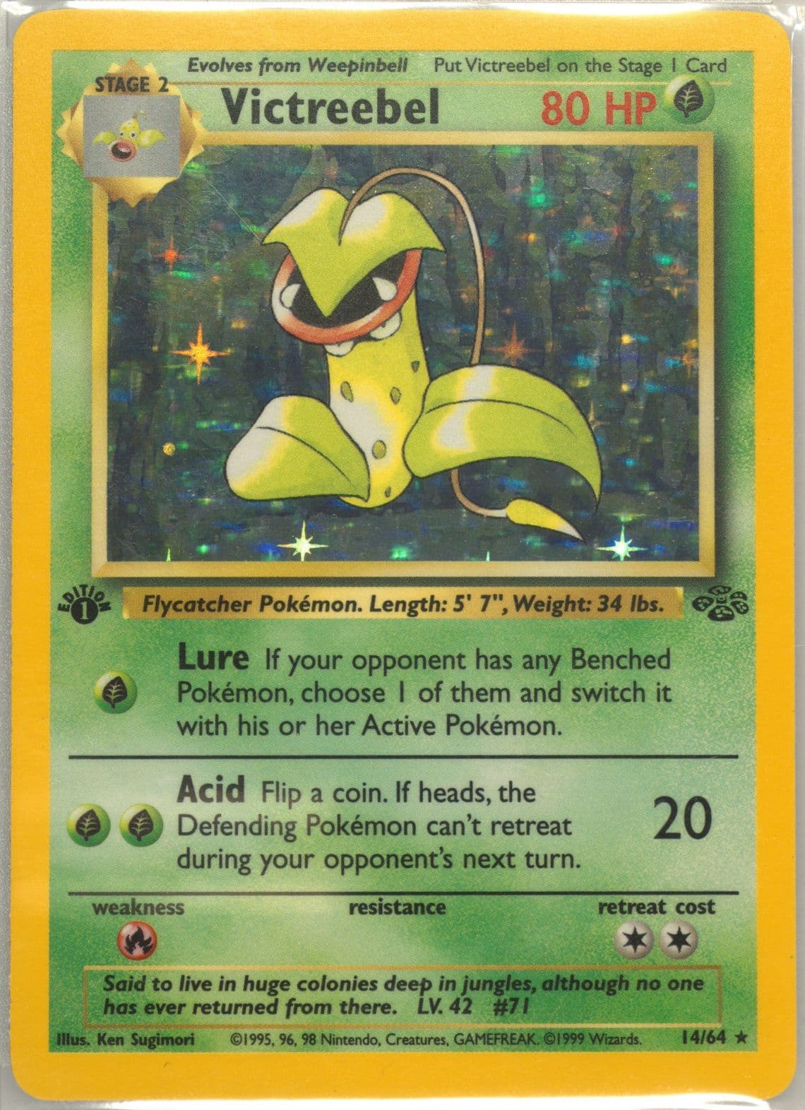 Victreebel-Holo 1st Edition (14) 1999 Pokemon Jungle