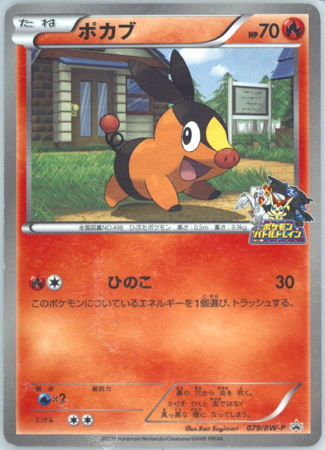 Tepig Jr Hokkaido Pokemon Battle Train (79) 2011 Pokemon Japanese Black & White Promo