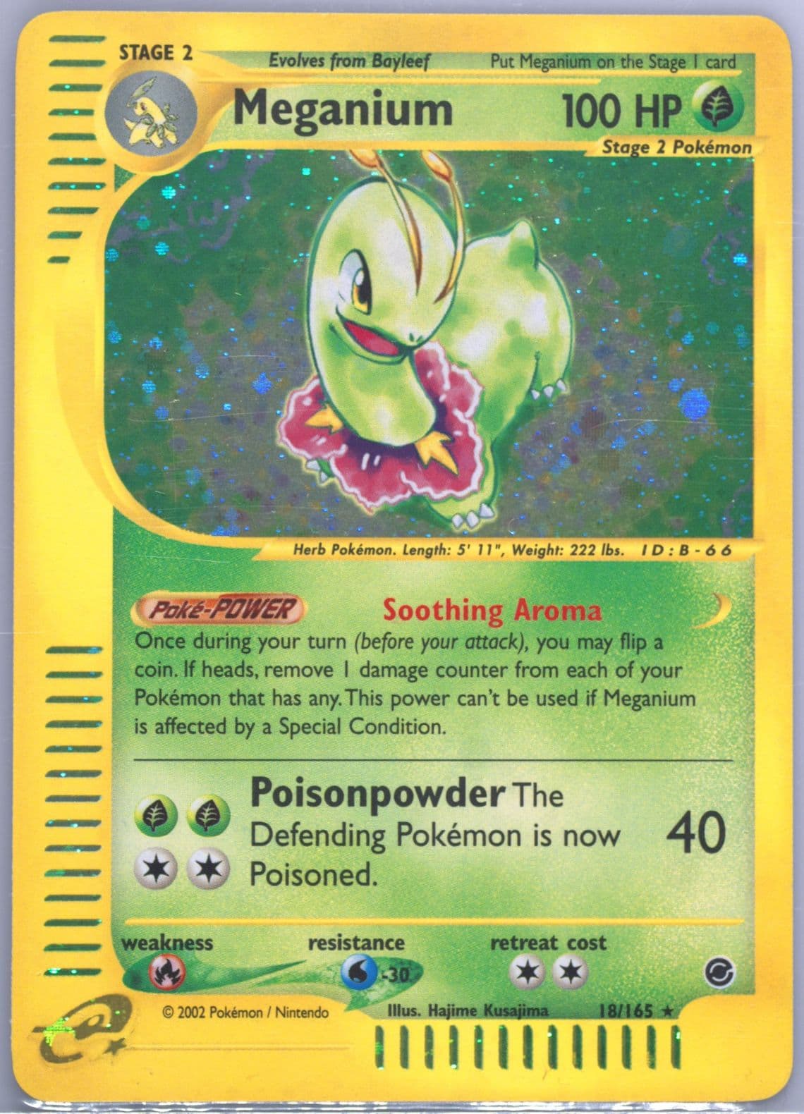 Meganium-Holo (18) 2002 Pokemon Expedition