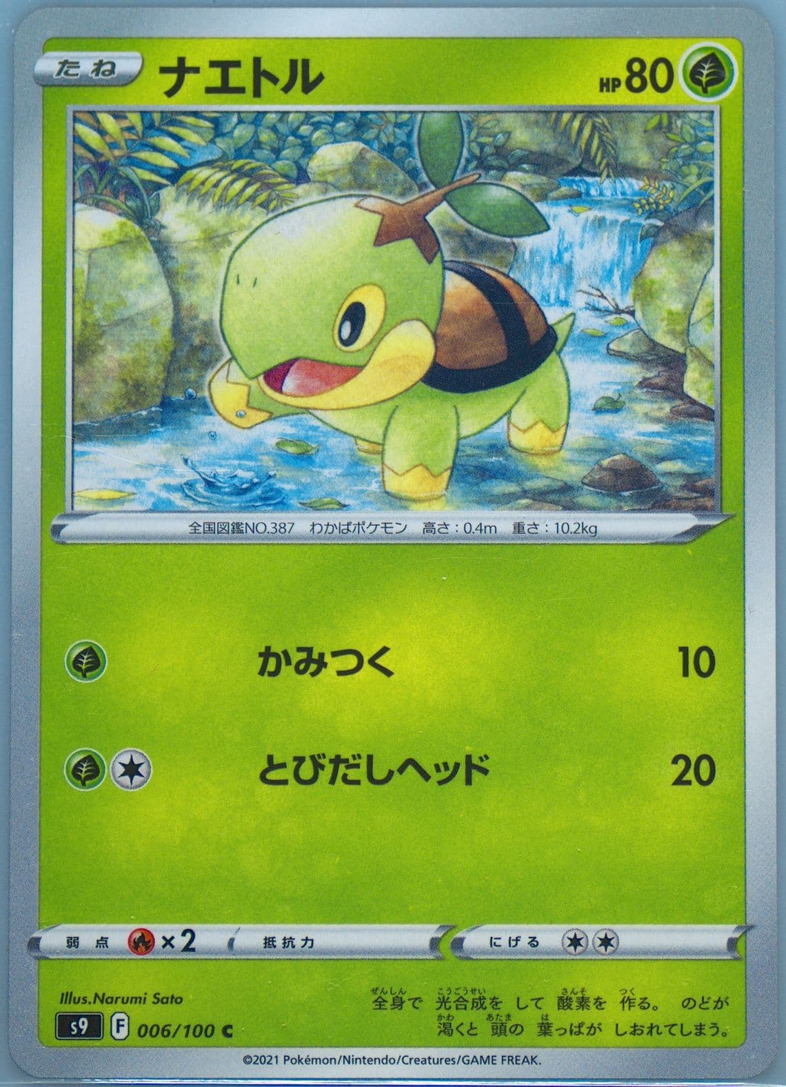 Turtwig (006) 2022 Pokemon Japanese Sword & Shield Star Birth