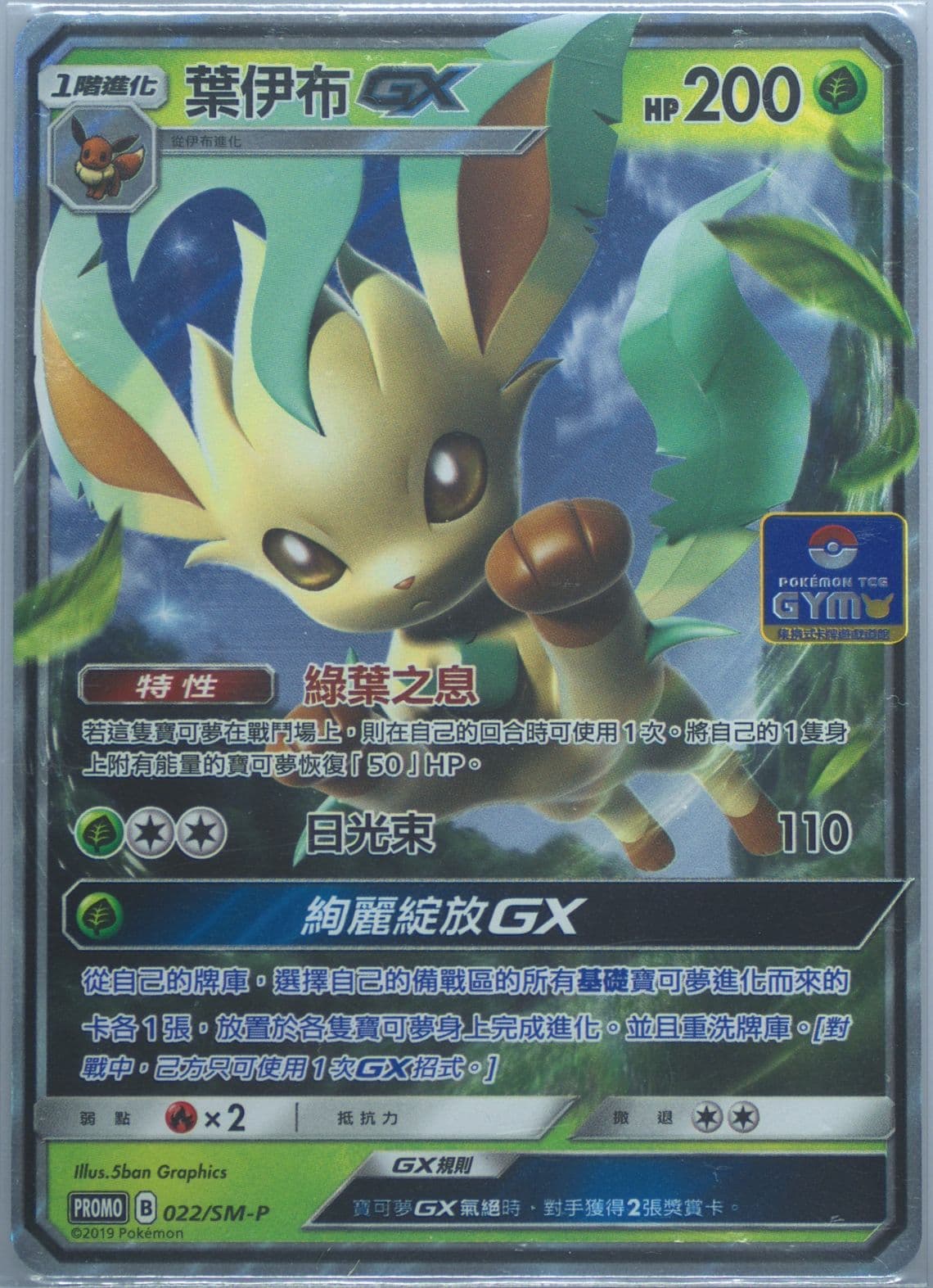 Leafeon GX Pokemon TCG Gym (022) 2019 Pokemon Chinese SM Promo