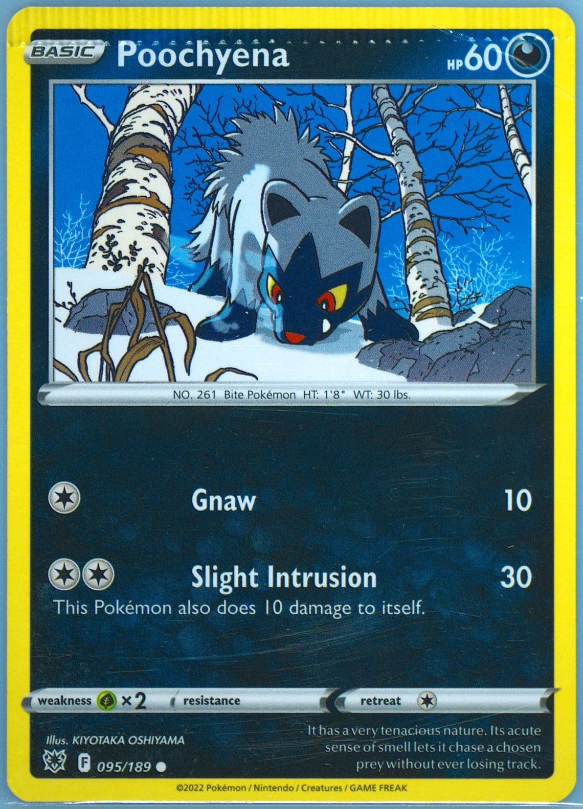 Poochyena (095) 2022 Pokemon Sword & Shield Astral Radiance