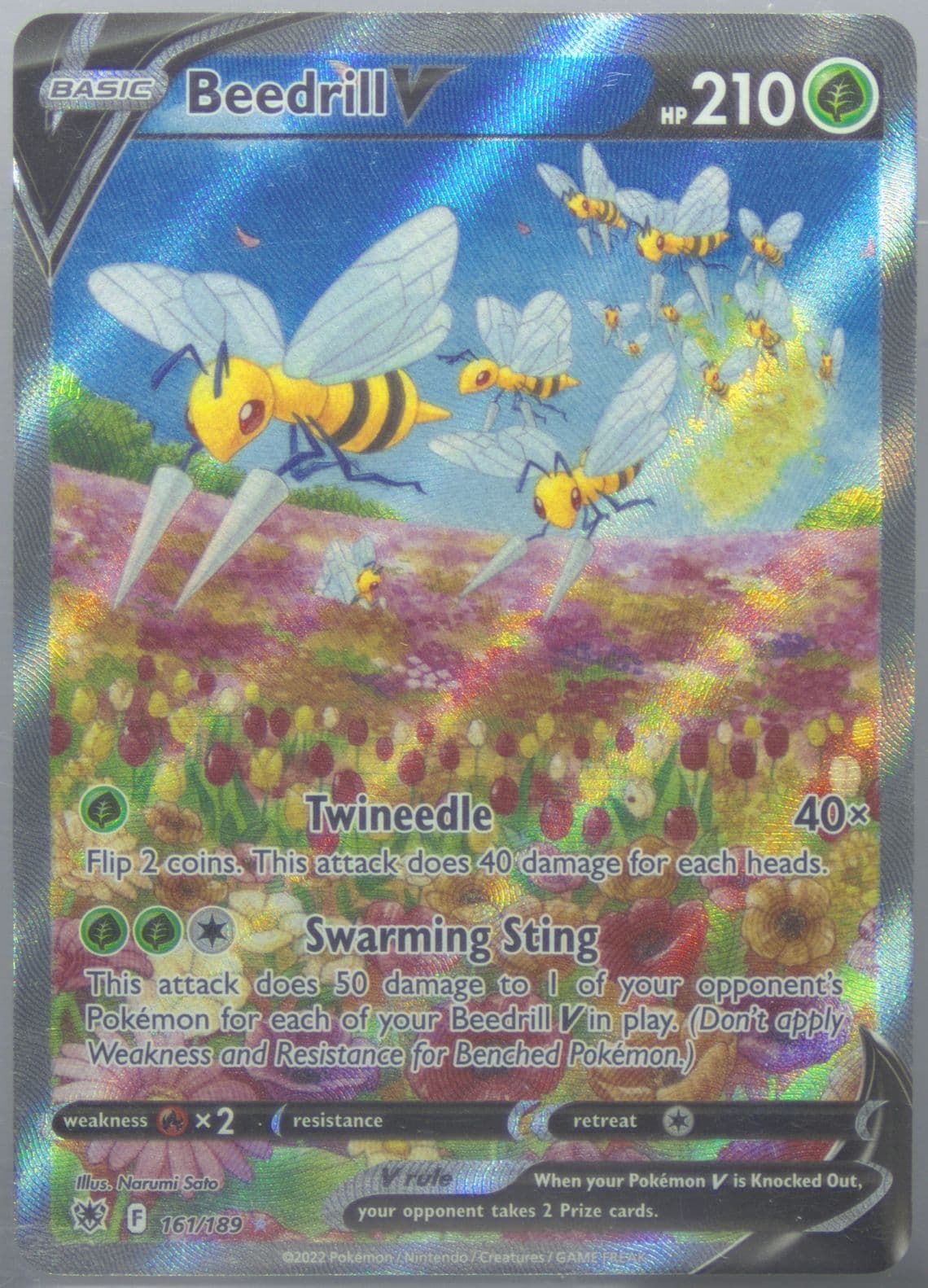 Full Art/Beedrill V (161) 2022 Pokemon Sword & Shield Astral Radiance