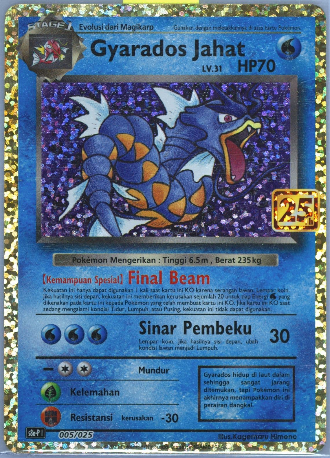 Dark Gyarados-Holo (005) 2021 Pokemon Indonesian Promo Card Pack 25th Anniversary