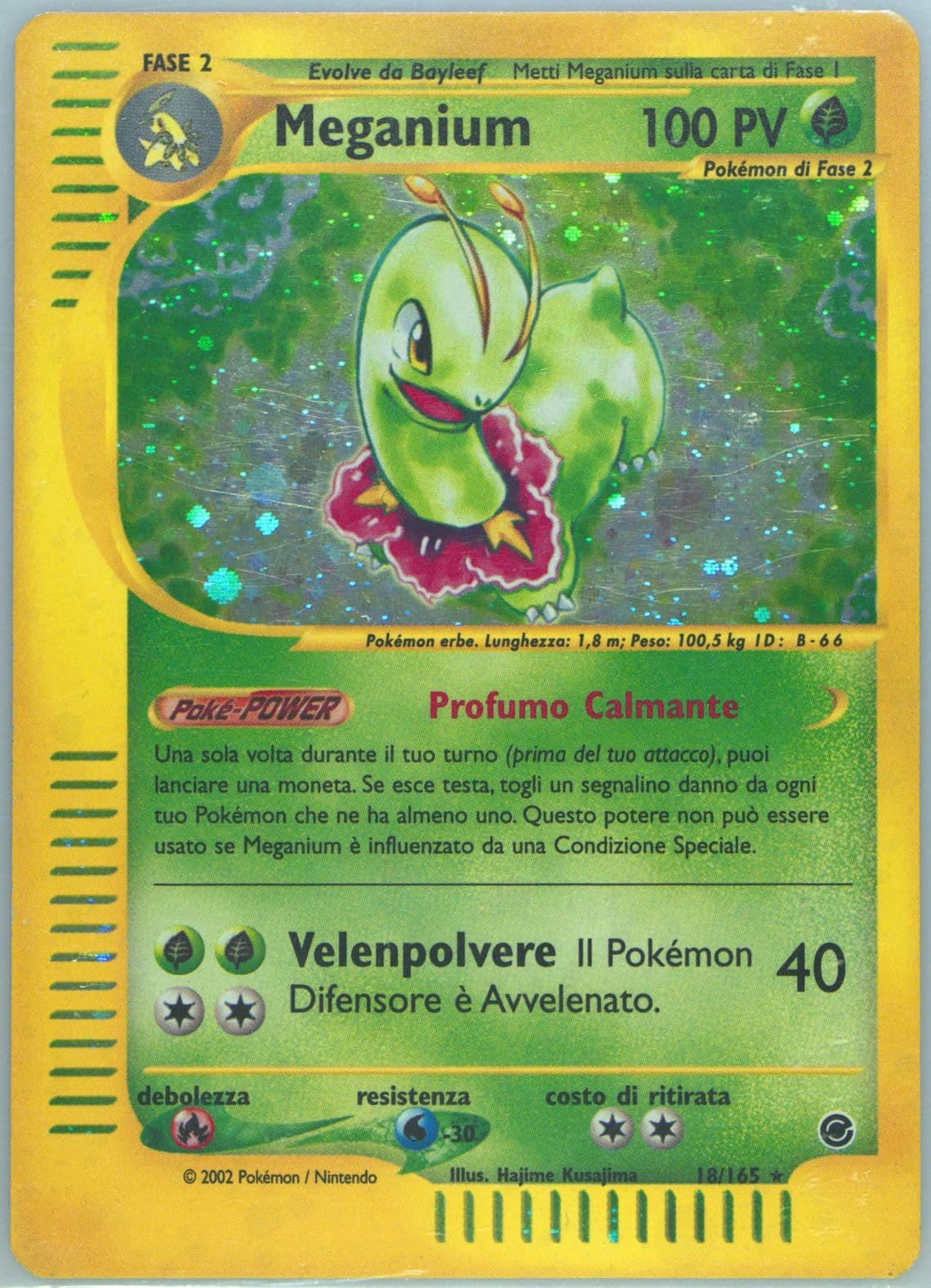Meganium-Holo Italian (18) 2002 Pokemon Expedition