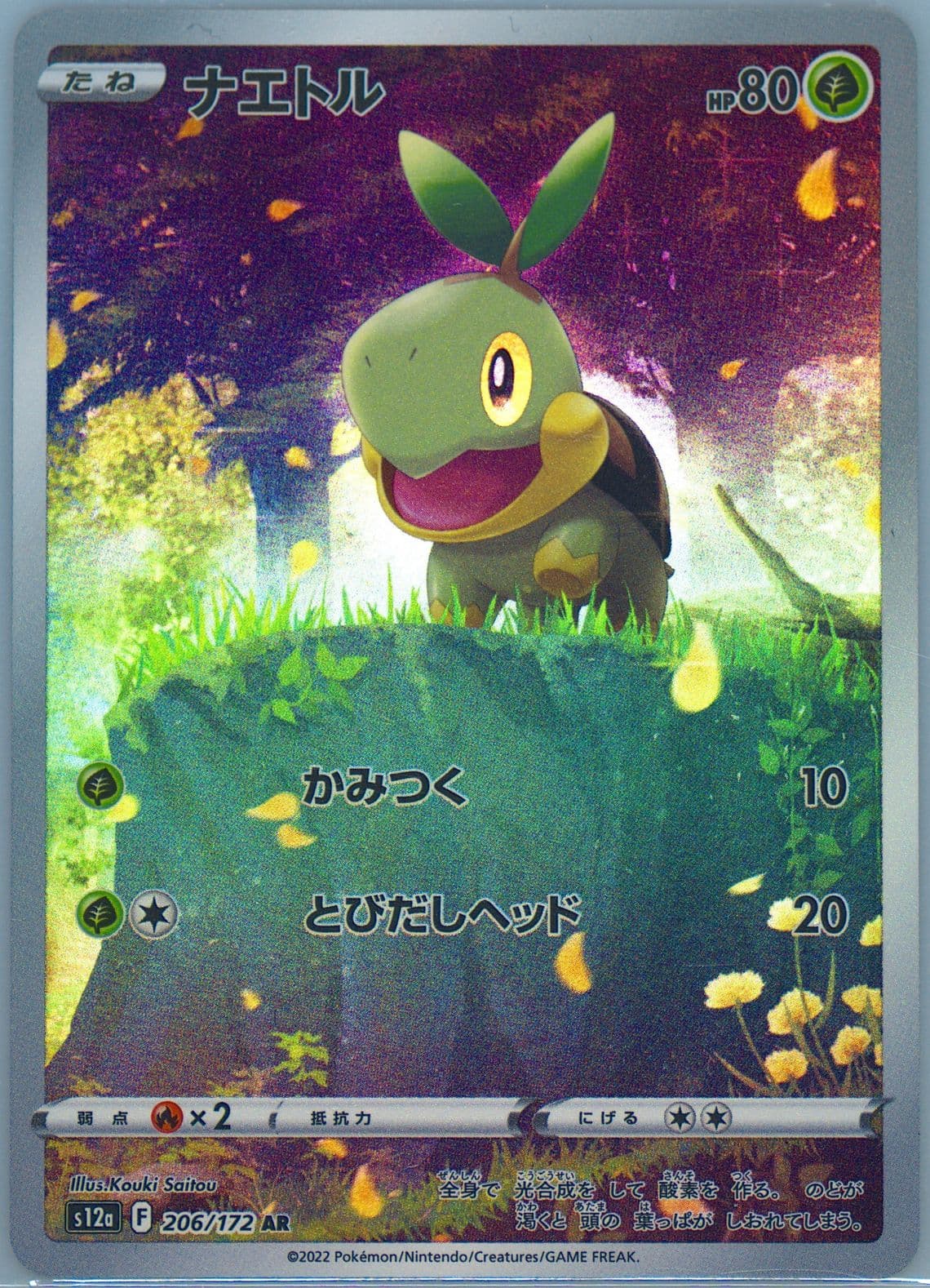 Full Art/Turtwig (206) 2022 Pokemon Japanese Sword & Shield Vstar Universe