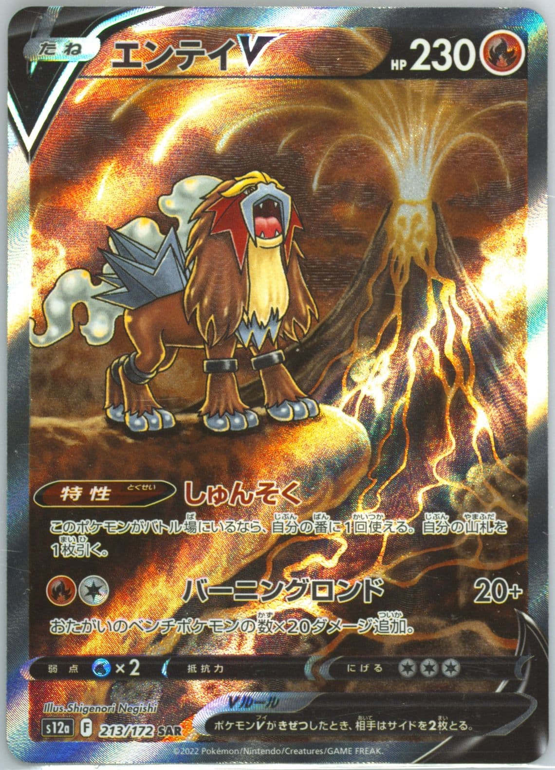 Full Art/Entei V (213) 2022 Pokemon Japanese Sword & Shield Vstar Universe
