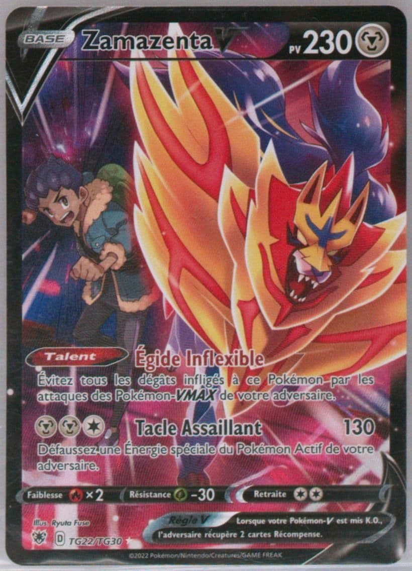 Full Art/Zamazenta V French (TG22) 2022 Pokemon Sword & Shield Astral Radiance