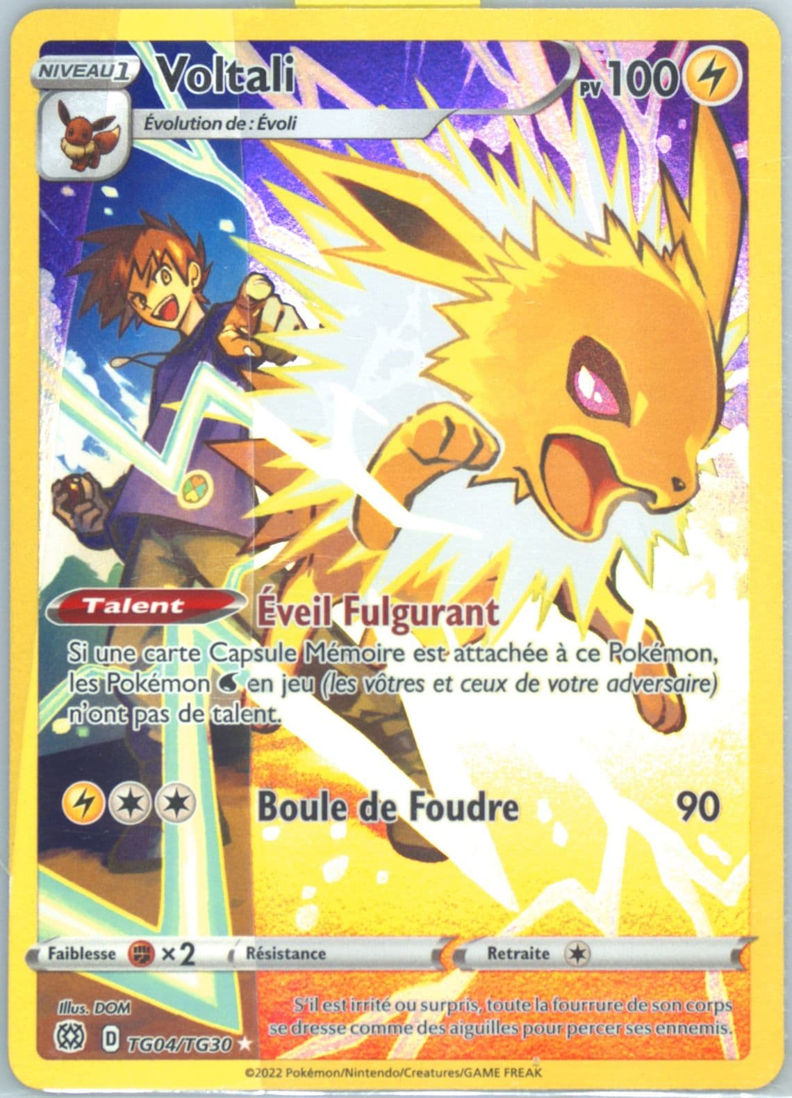 Full Art/Voltali French (TG04) 2022 Pokemon Sword & Shield Brilliant Stars
