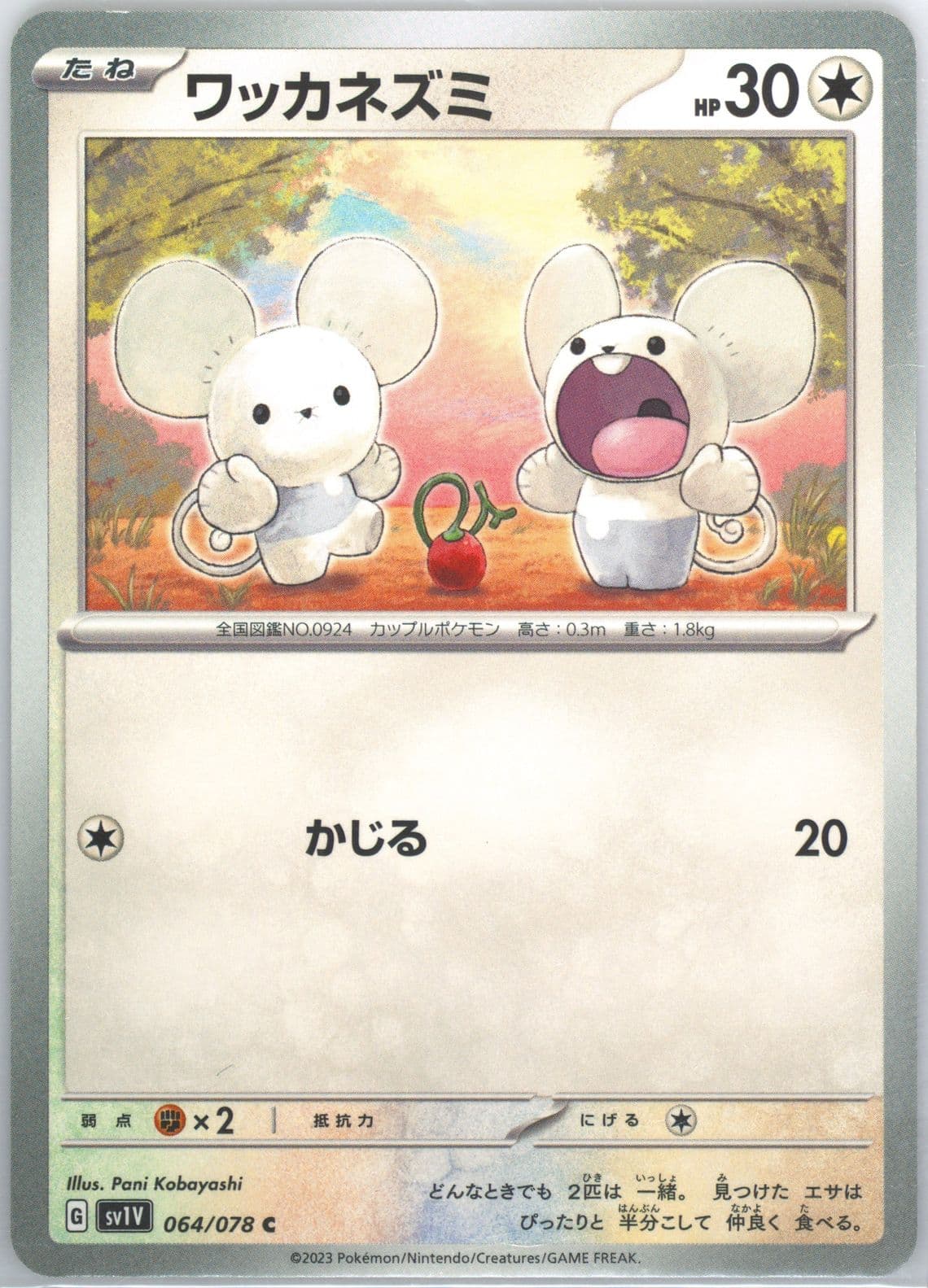 Tandemaus (064) 2023 Pokemon Japanese Sv1v-Violet EX