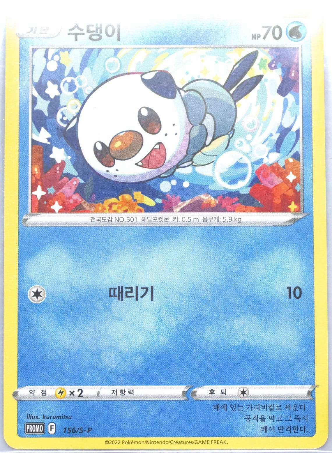 Oshawott Hyundai Department Store Pangyo Purchase Campaign (156) 2022 Pokemon Korean S Promo
