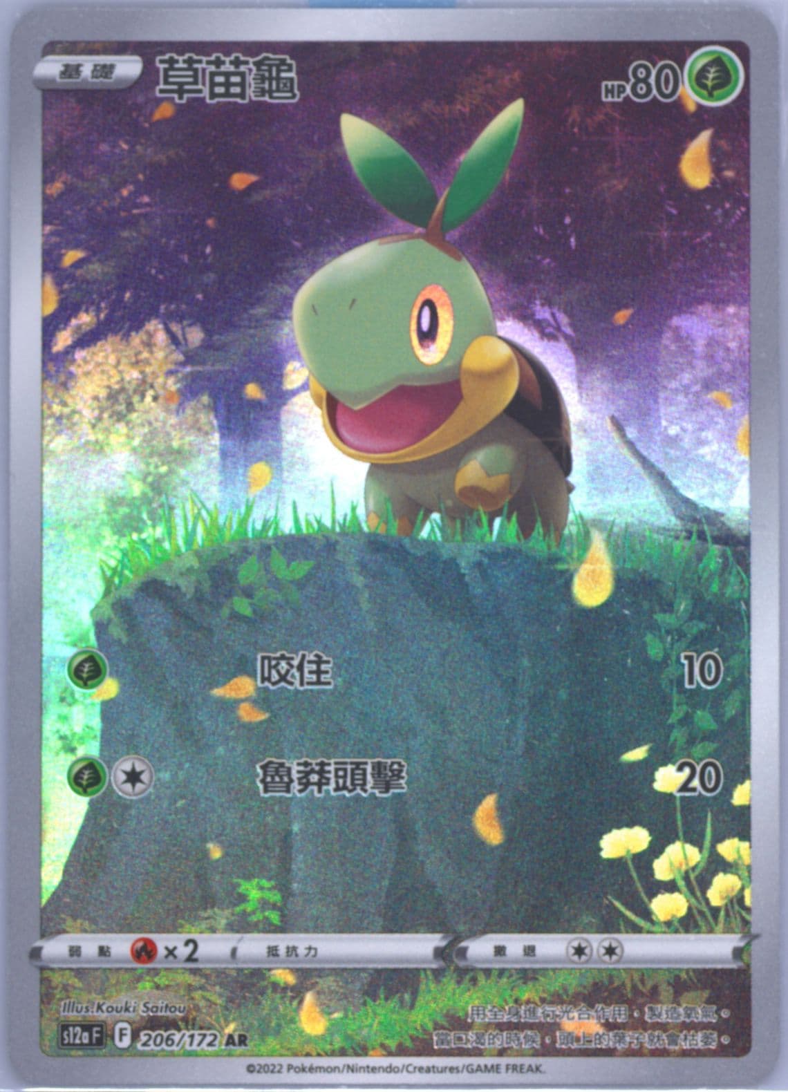 Full Art/Turtwig (206) 2022 Pokemon Chinese Sword & Shield Vstar Universe