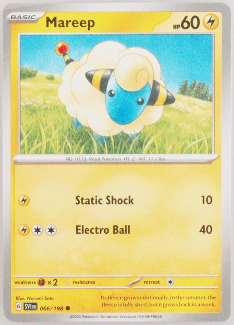 Mareep (066) 2023 Pokemon Svi EN-Scarlet & Violet
