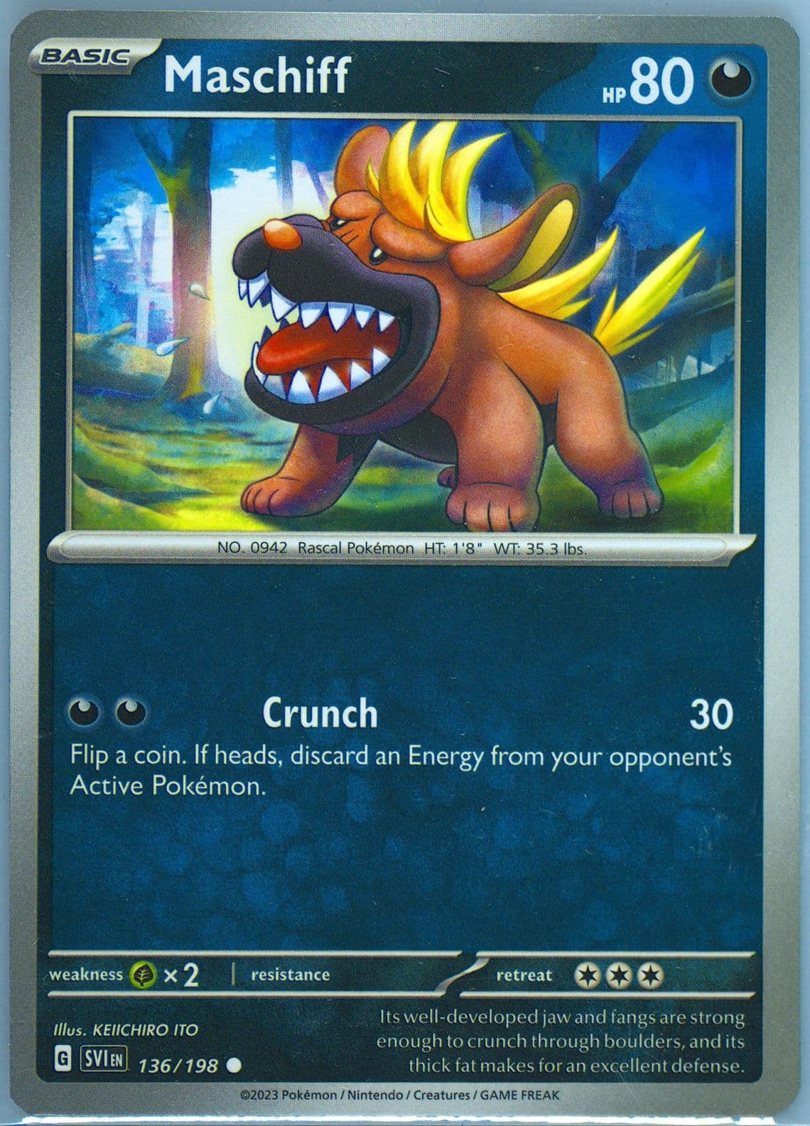 Maschiff (136) 2023 Pokemon Svi EN-Scarlet & Violet