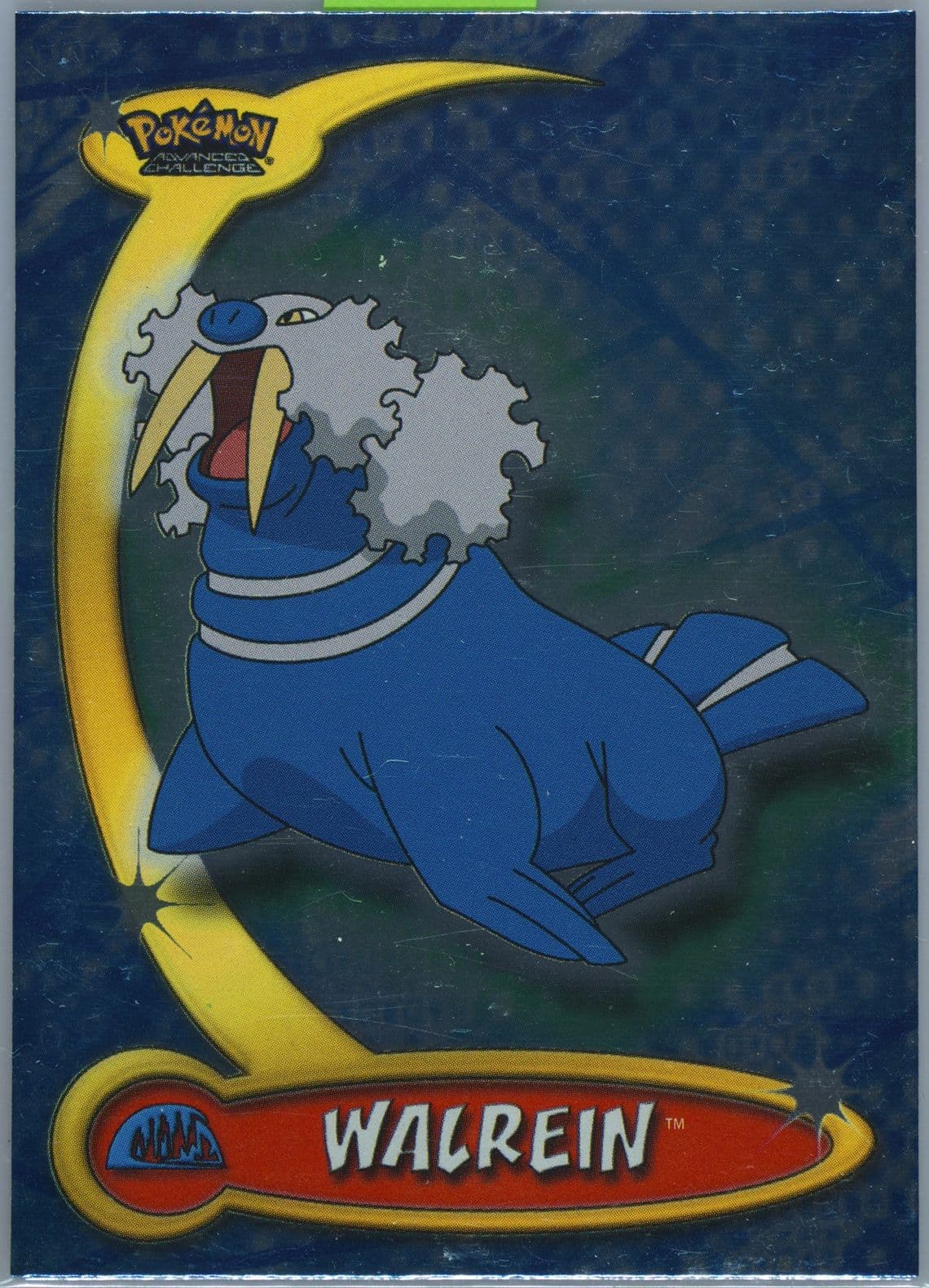 Walrein Foil (85) 2004 Topps Pokemon Advanced Challenge