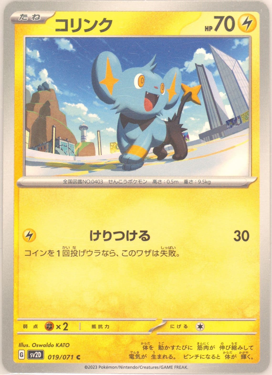 Shinx (019) 2023 Pokemon Japanese Sv2d-Clay Burst