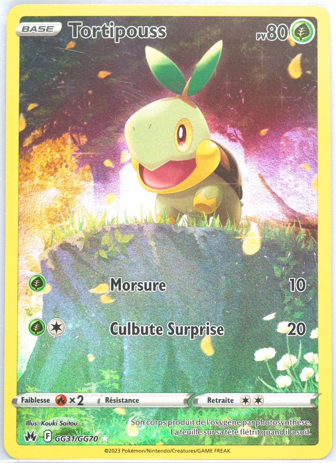Full Art/Tortipouss French (GG31) 2023 Pokemon Sword and Shield Crown Zenith
