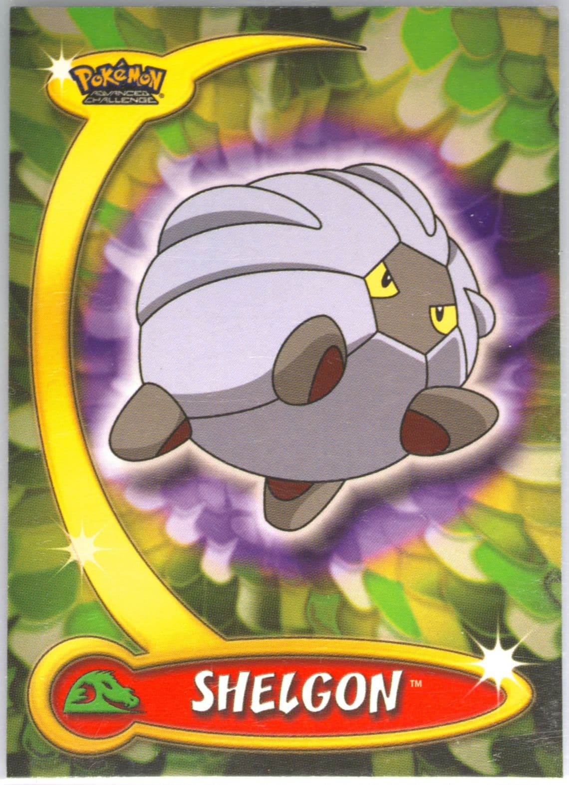 Shelgon (63) 2004 Topps Pokemon Advanced Challenge