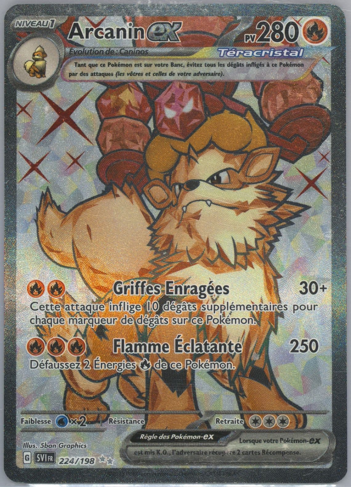 Arcanine EX Ultra Rare (224) 2023 Pokemon French Svi FR-Scarlet & Violet