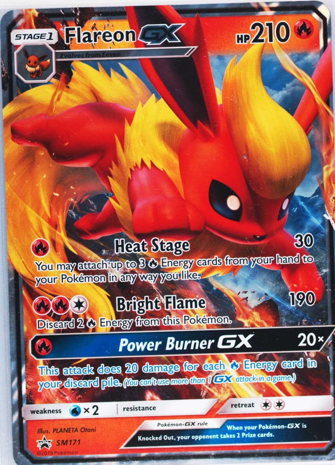 Flareon GX Flareon GX Special Collection-Jumbo (SM171) 2019 Pokemon SM Black Star Promo